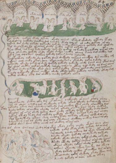 【奇書】解読不能「ヴォイニッチ手稿」を解読できる男が現れる！！