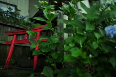 羽田空港に存在する不自然な鳥居の存在、実は壊そうとすると祟りが起きるヤバイ鳥居だった・・