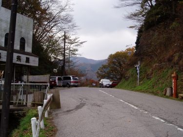 正丸峠では犬や猫の霊がいる?どんな心霊現象があるのか調べた!