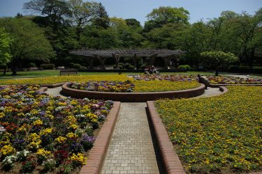 里見公園の心霊現象はバラバラ殺人のせい？トイレから聞こえる音とは？