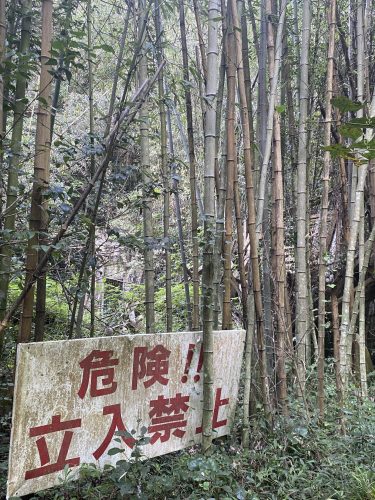 七つの家が廃墟となった真相は？殺人事件の噂は本当？