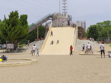 大泉緑地の心霊現象は首吊りがあったから？どんな霊がいるの？