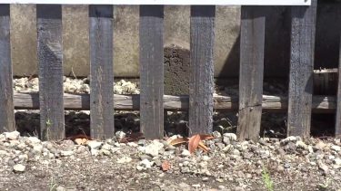 オチョバンバの供養塔で石碑に触れてはいけない！老婆の怨念がある？