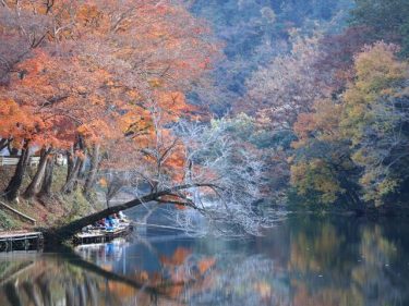 鎌北湖 駐車場で何があったの？行ってはいけない理由を調べた！