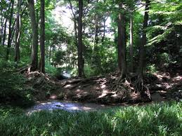 妙音沢では亡くなった人の霊が出るって本当？心霊写真も！