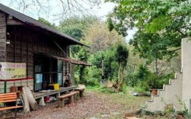 アリスの森で何が起こった?少女の霊が今も彷徨っている?