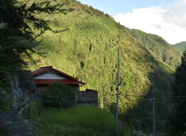 夏焼集落の心霊現象とは？通らなければならない幽霊トンネルがやばいの？