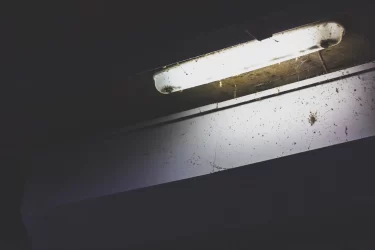 ホテルセシールでは何が起こるの？噂の真相を調べてみた！