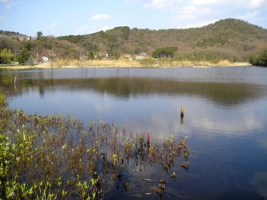 深泥池のタクシー怪談や心霊現象・抱き人形が消えたのってマジ？
