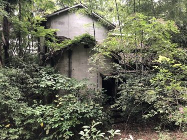 イノチャン山荘事件の犯人は捕まった？精神病院との関係も！