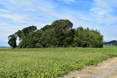 シガイの森(新開の森)が心霊スポットの理由!織田信長との関係は?